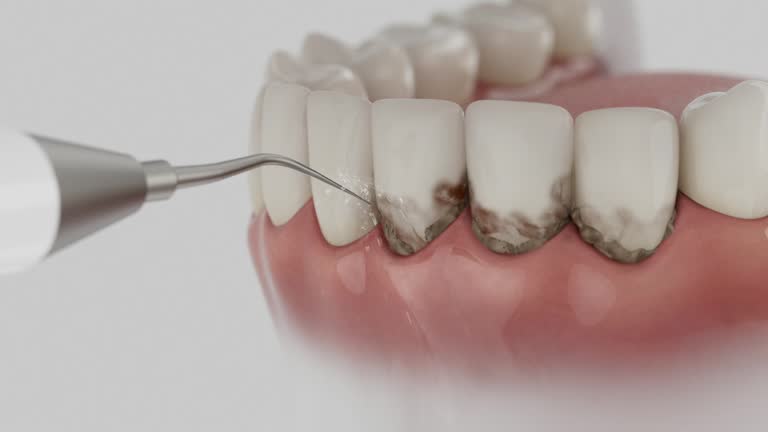 Reliable Dental contractor in Fairfax, CA by Dentist Open Now
